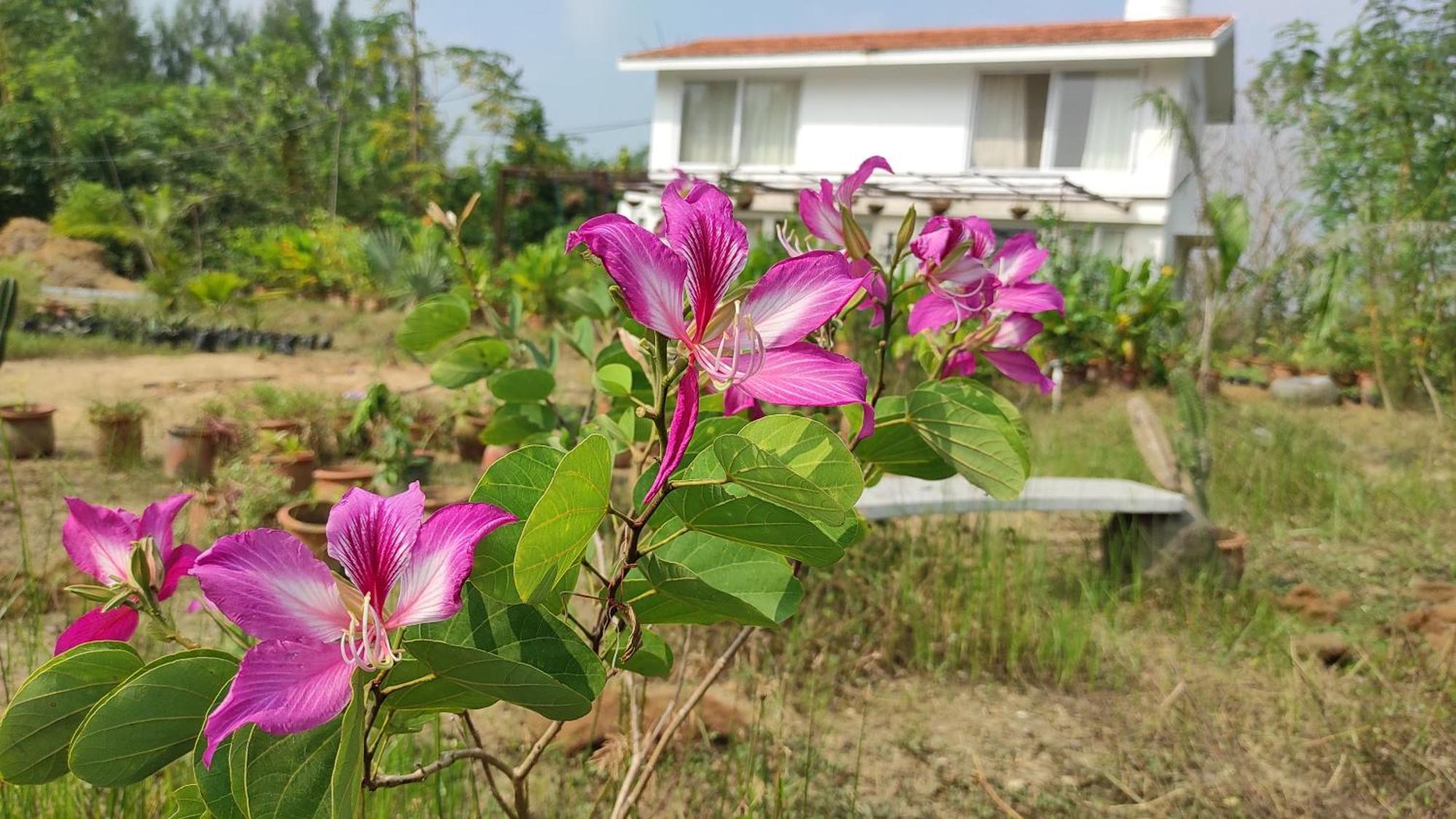 Vaksana Farm Stay Gudraippattu Exterior foto