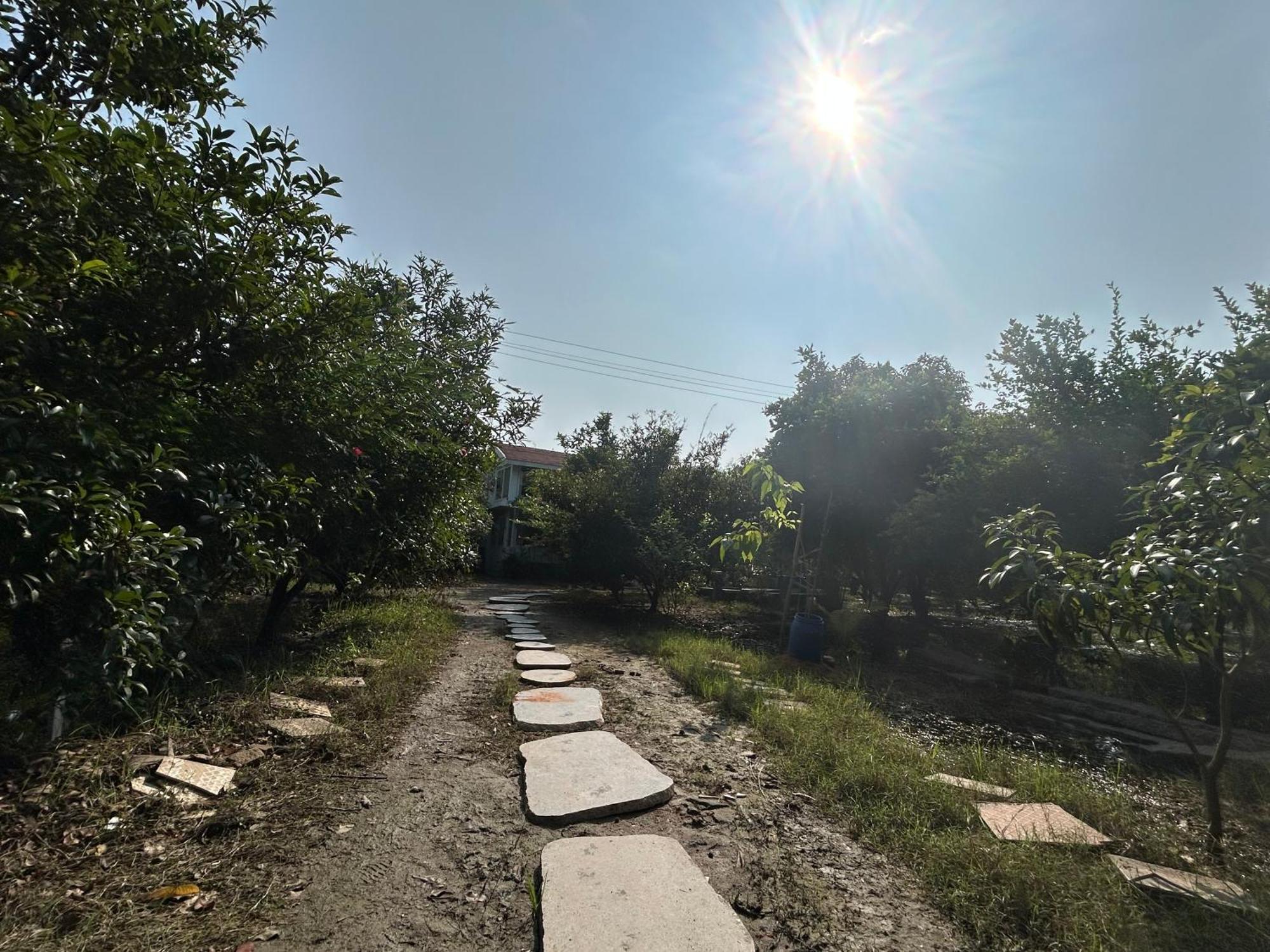 Vaksana Farm Stay Gudraippattu Exterior foto